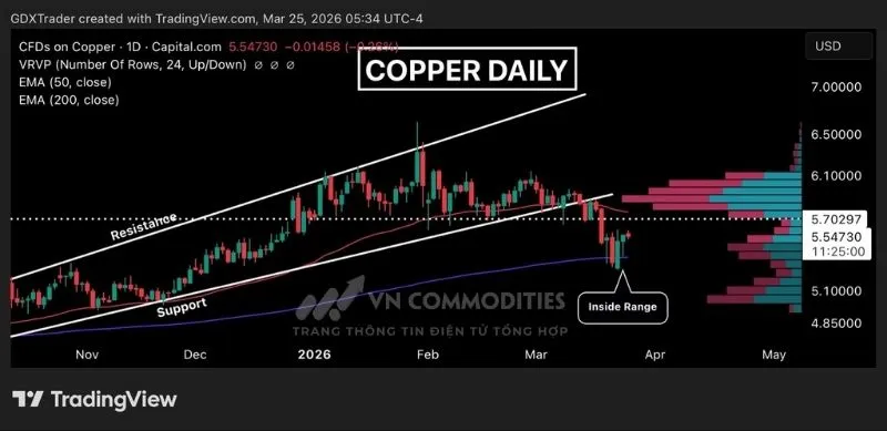Gi&aacute; đồng đang tiếp tục đi v&agrave;o giai đoạn t&iacute;ch lũy 